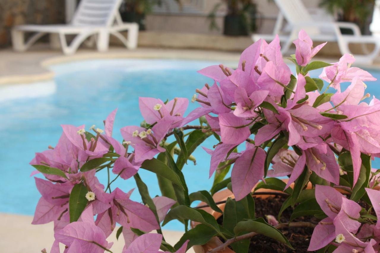 Residence Le Lotus Grand Baie Exterior photo